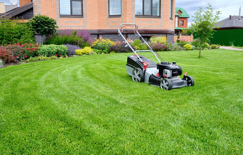 Cheap Blade Spray Store -Cheap Blade Spray Store